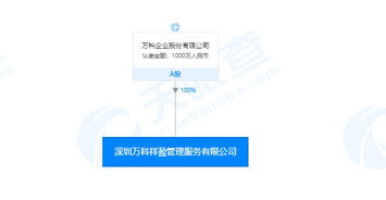 每日新注冊公司精選 信息技術咨詢服務領域的創(chuàng)新力量