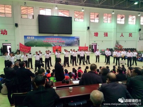 民間文藝綻放校園，文化傳承走進(jìn)鎮(zhèn)巴——中國(guó)民間文藝家協(xié)會(huì)‘民間文化進(jìn)校園’活動(dòng)紀(jì)實(shí)